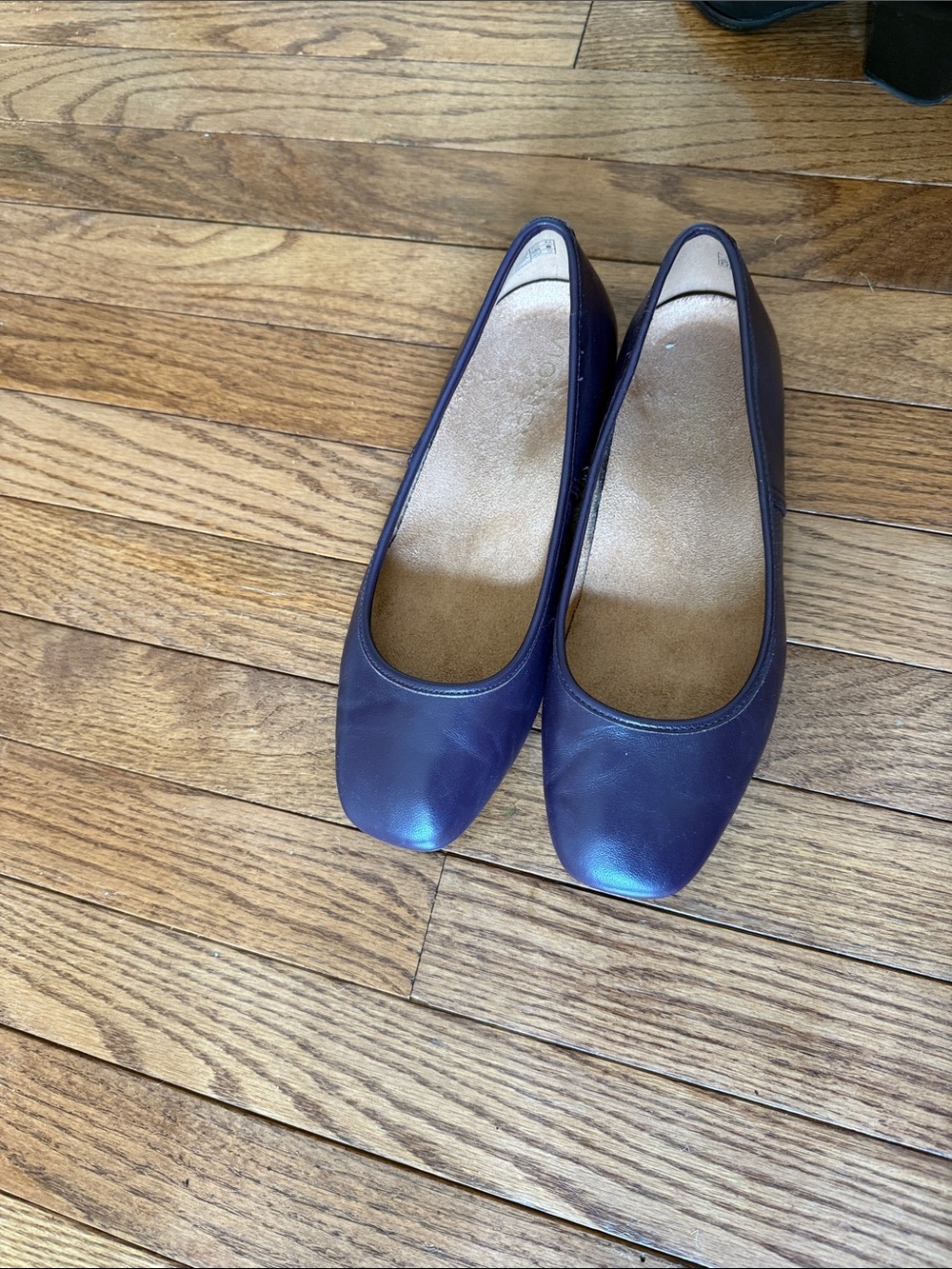 Vionic Plum Flats